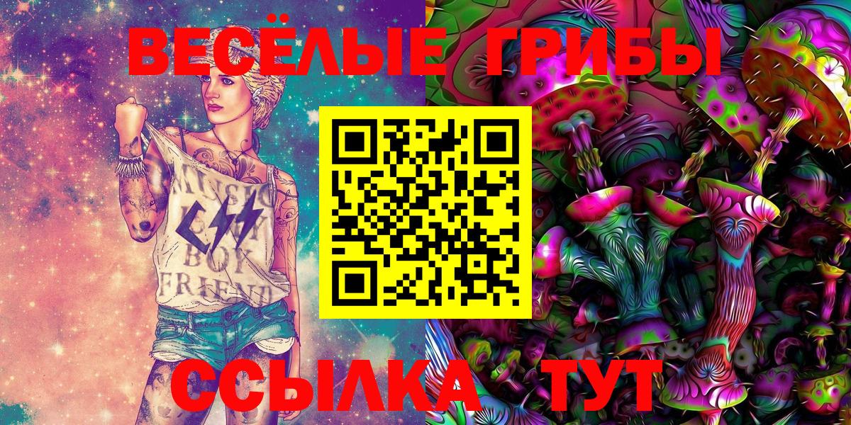 Псилоцибиновые грибы Magic Shrooms Каменка