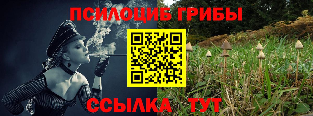 Каменка  Галлюциногенные грибы Magic Shrooms  Вход с VPN 